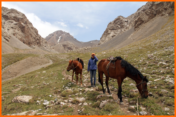 Hello dear guests, Kyrgyzstan tours